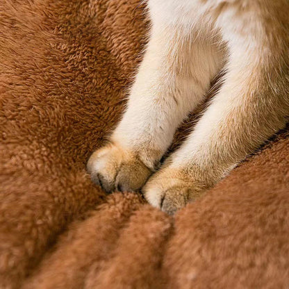 Cozy Four-Season Pet Bed